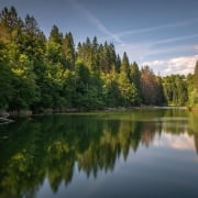 Green Adventure - Green river