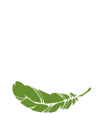 Green Adventure - logo