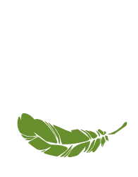 Green Adventure - logo