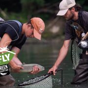 F&F trio - Marina Gibson