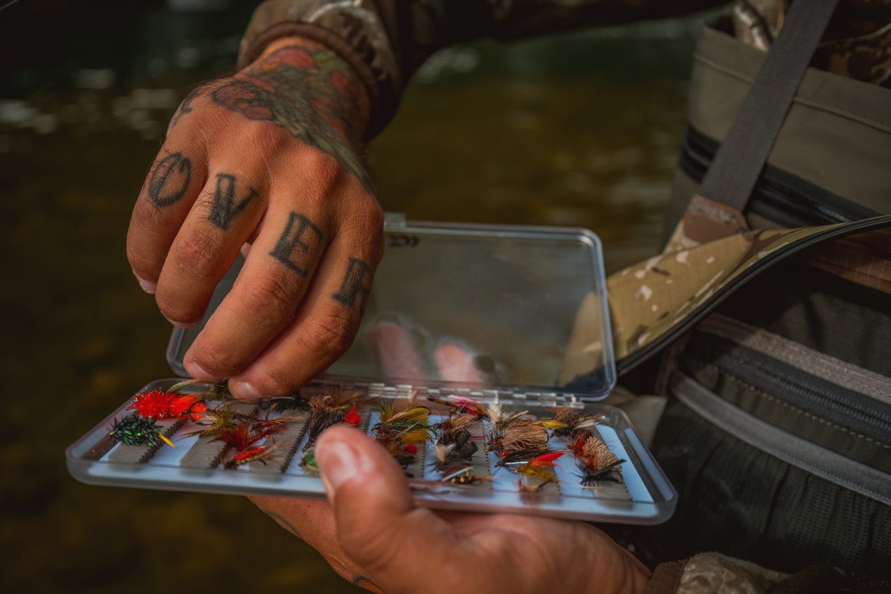 Green Adventure Unique